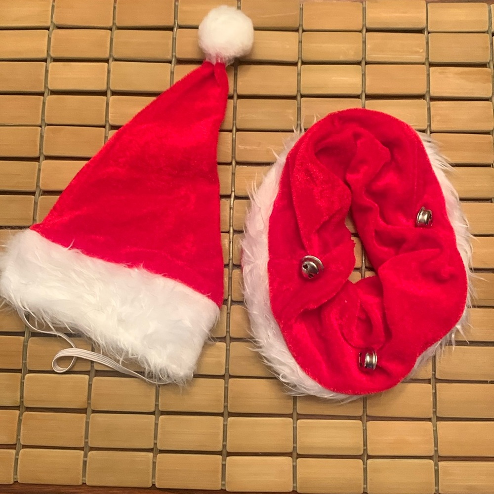 New dog Christmas outfit